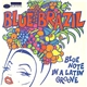 Various - Blue Brazil (Blue Note In A Latin Groove)